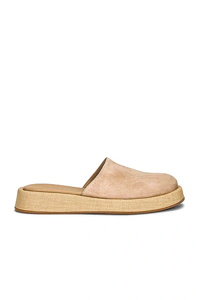 Shop Gia Borghini X Rhw Suede Slide In Taupe