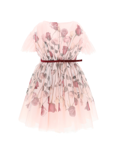 Shop Monnalisa Rose Print Tulle Dress In Dusty Pink Rose