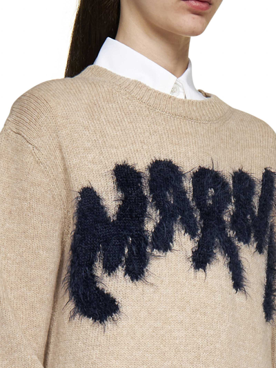 Shop Marni Sweater In Moccasin