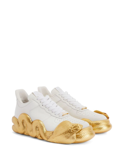 Shop Giuseppe Zanotti Cobras Low-top Sneakers In White