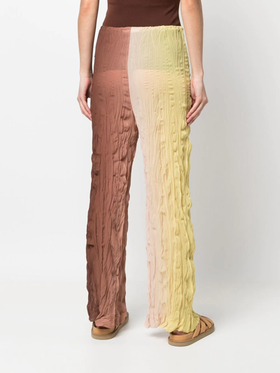 Erika Cavallini Carmen Crepe Trousers In Brown