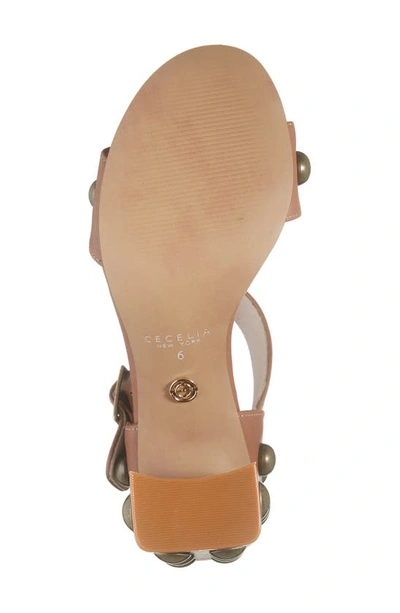 Shop Cecelia New York Gail Stud Sandal In Cognac