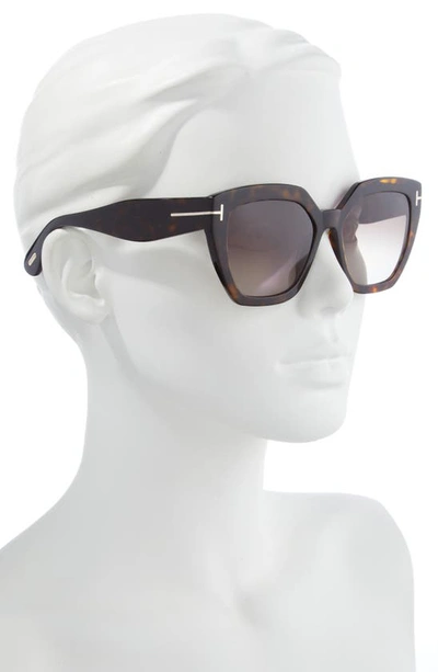 Shop Tom Ford Phobe 56mm Square Sunglasses In Dark Havana / Gradient Roviex