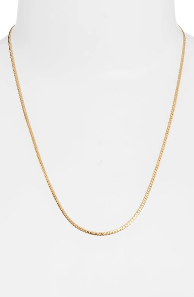 Jenny Bird Aria Curb Chain Necklace In High Polish Gold