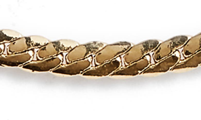 Jenny Bird Aria Curb Chain Necklace In High Polish Gold