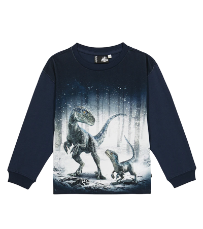 Shop Molo Rube Printed Cotton Sweatshirt In Blue & Beta