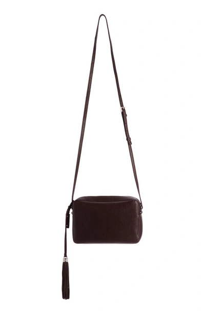 Shop Saint Laurent Small Mono Leather Camera Bag In Tulip