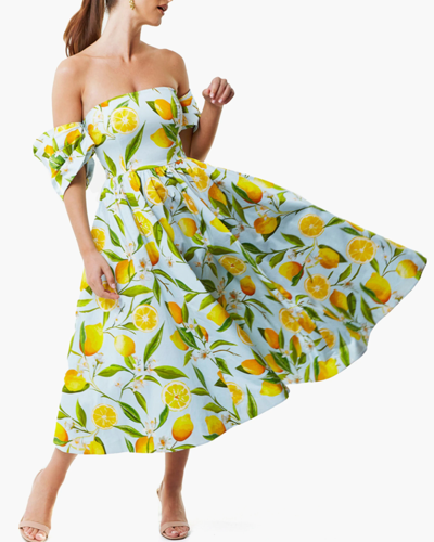 Shop Mestiza Odette Midi Dress In Blue Multi Floral/lemon Yellow