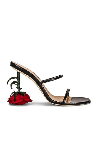 Shop Loewe Rose Heel Sandal In Black