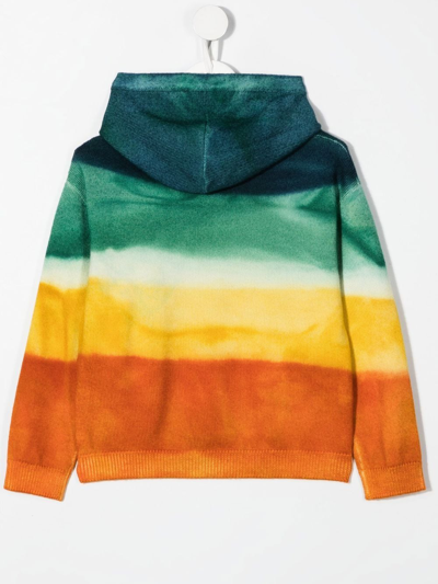 Shop Alanui Paradise Island Hoodie In Orange