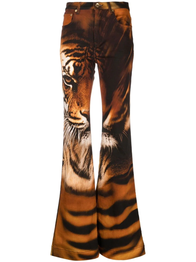 Roberto Cavalli Tiger Print Flared Denim Jeans In Multicolor | ModeSens