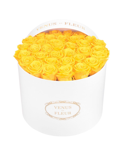Shop Venus Et Fleur Large Round Box With Eternity Roses