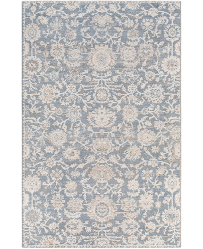 Shop Surya Closeout!  Amore Amo2313 8'10" X 13' Area Rug In Mist