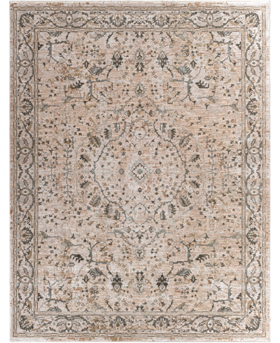 Surya Brunswick Bwk2312 7'10" X 10'3" Area Rug In Beige