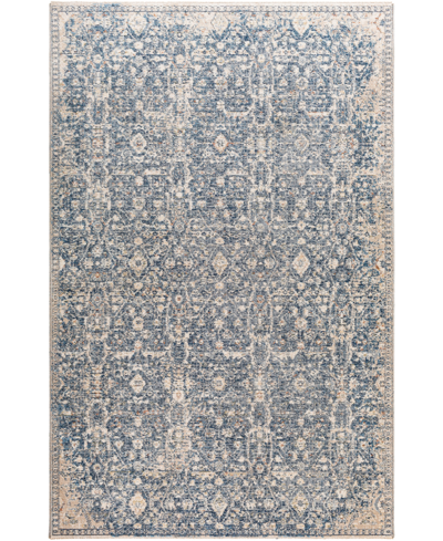 Shop Surya Closeout!  Amore Amo2332 8'10" X 13' Area Rug In Blue