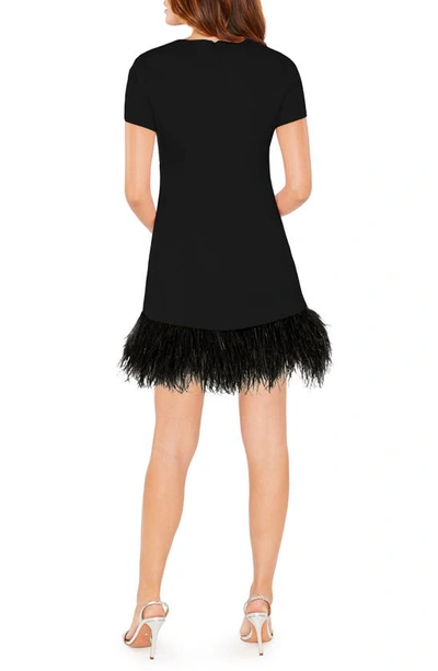 Shop Likely Marulla Feather Trim Dress In Black