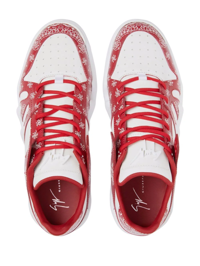 Shop Giuseppe Zanotti Talon Low-top Bandana-print Sneakers In Red