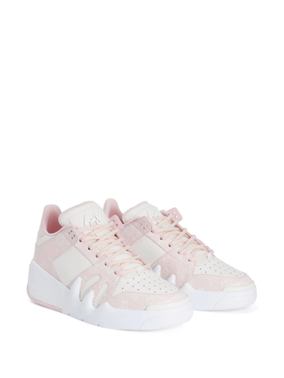 Shop Giuseppe Zanotti Talon High-top Bandana Sneakers In Pink