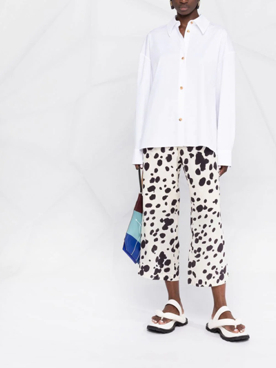 Shop Marni Cow-print Cropped Trousers In Neutrals