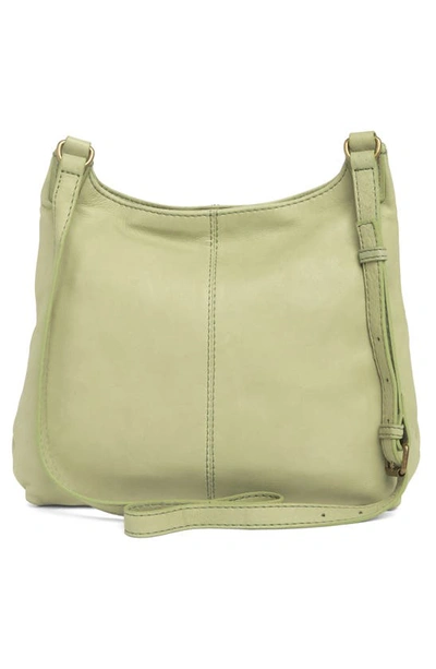 Shop American Leather Co. Wylie Crossbody Bag In Pottery Green