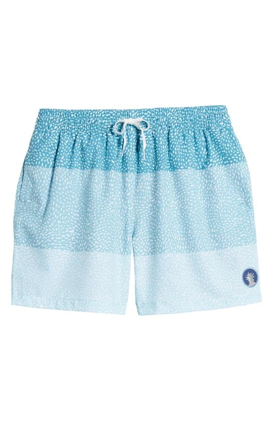 Shop Chubbies 5.5-inch Swim Trunks In The Whale Sharks