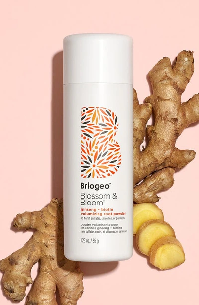 Shop Briogeo Blossom & Bloom Ginseng + Biotin Volumizing Root Powder