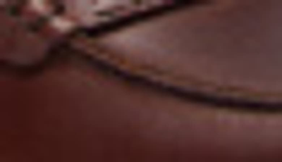 Eastland Newbury Leather Block Heel Loafer In Brown