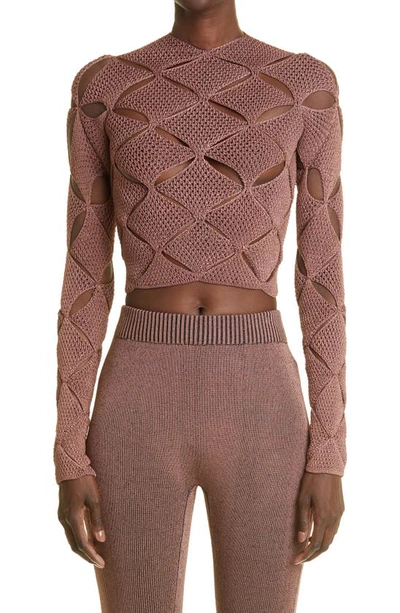 Argyle Lace Cutout Crop Sweater In Brown