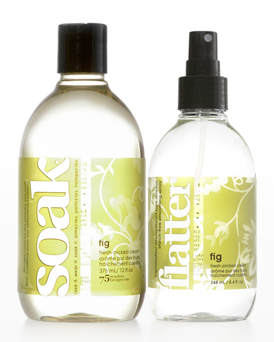 Shop Soak Wash Laundry Soap & Ironing Spray Set In Fig