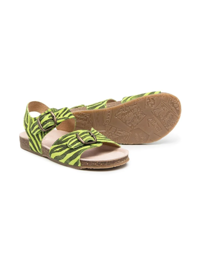 Shop Pèpè Tiger-print Buckle Sandals In Green