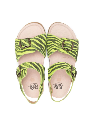 Shop Pèpè Tiger-print Buckle Sandals In Green