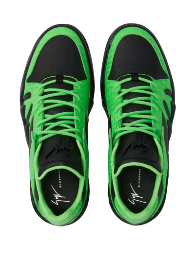 Giuseppe Zanotti Talon Low-top Sneakers In Green
