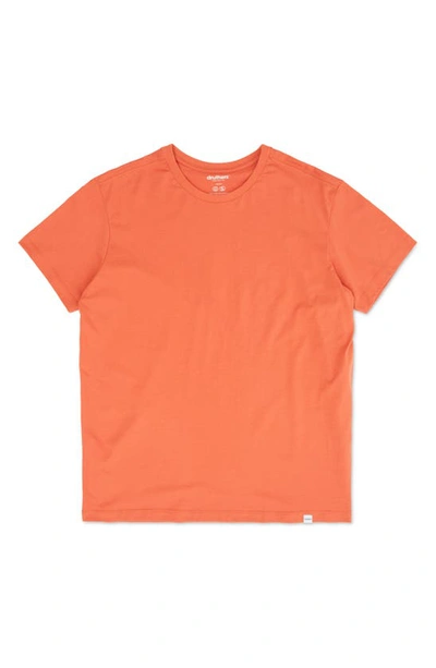 Shop Druthers Organic Cotton T-shirt In Burnt Sienna