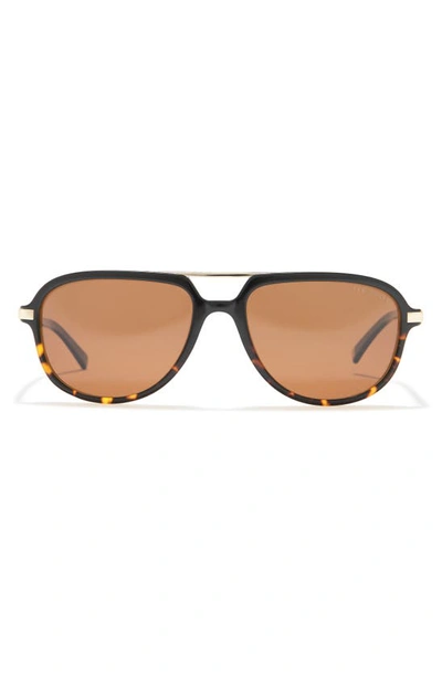 Shop Ted Baker 59mm Polarized Aviator Sunglasses In Black Tortoise