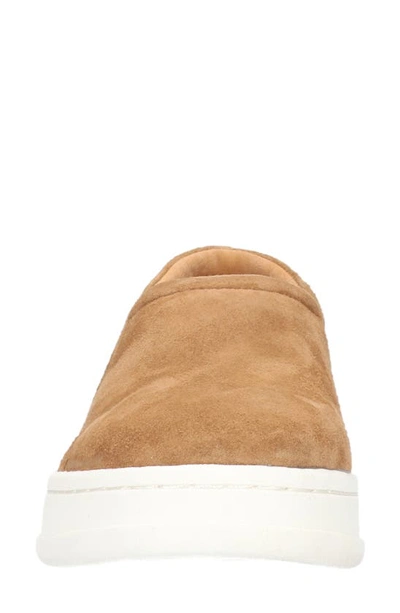 Shop Bella Vita Maribel Slip-on Sneaker In Saddle Kidsuede Leather