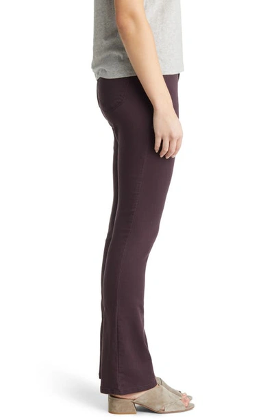 Shop Wit & Wisdom 'ab'solution Itty Bitty High Waist Bootcut Pants In Malbec