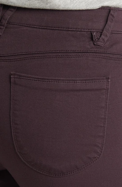 Wit & Wisdom 'ab'solution Itty Bitty High Waist Bootcut Pants In Malbec