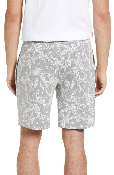 Shop Majestic Palm Print Cotton Blend Pajama Shorts In Grey Leaf