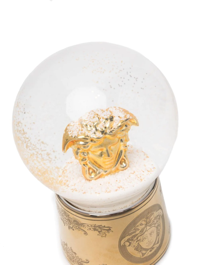 Shop Versace Medusa Snow Globe In Gold