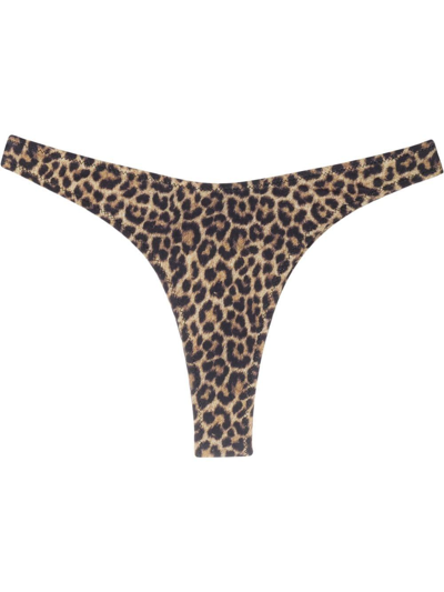 Matinee Leopard-print High-cut Bikini Bottoms In Braun