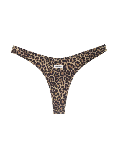 Matinee Leopard-print High-cut Bikini Bottoms In Braun