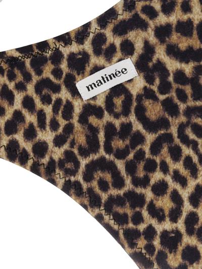 Matinee Leopard-print High-cut Bikini Bottoms In Braun