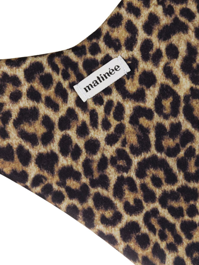 Matinee Nadine Leopard-print Tied Bikini Briefs In Braun