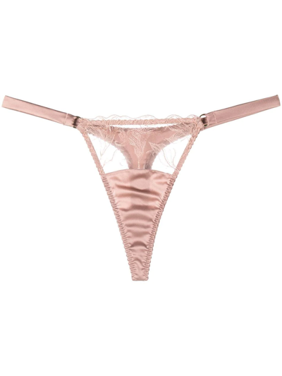 Shop Fleur Of England Lilian Lace-panel Thong In Pink