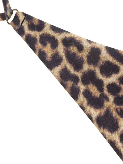 Matinee Leopard-print Crossover Bikini Briefs In Brown
