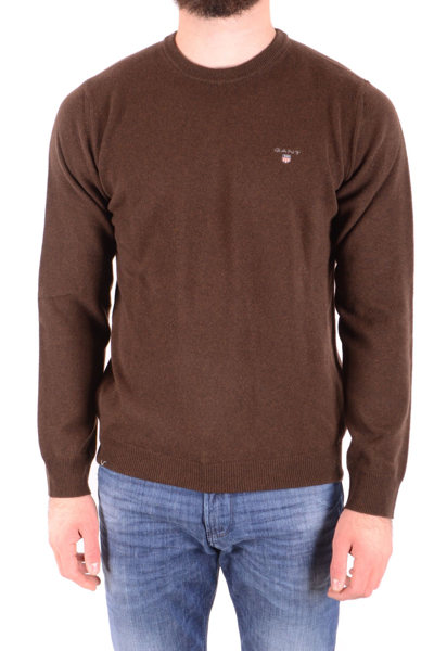 Shop Gant Men's Brown Other Materials Sweater