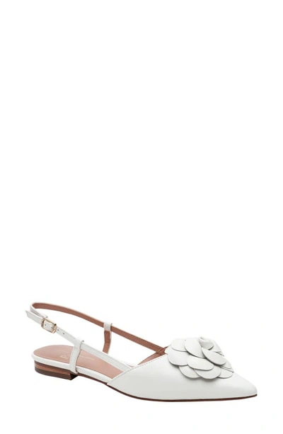 Shop Linea Paolo Cammy Slingback Pointed Toe Flat In Eggshell