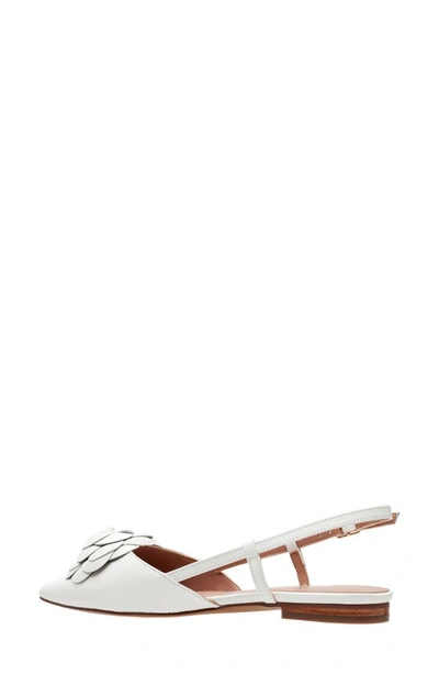 Shop Linea Paolo Cammy Slingback Pointed Toe Flat In Eggshell