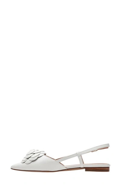 Linea Paolo Cammy Slingback Pointed Toe Flat In Eggshell
