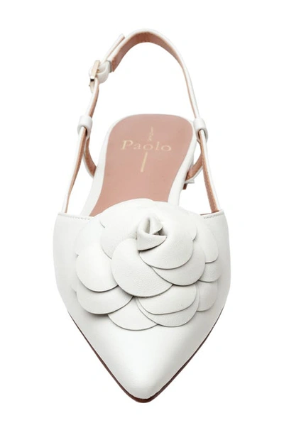 Linea Paolo Cammy Slingback Pointed Toe Flat In Eggshell